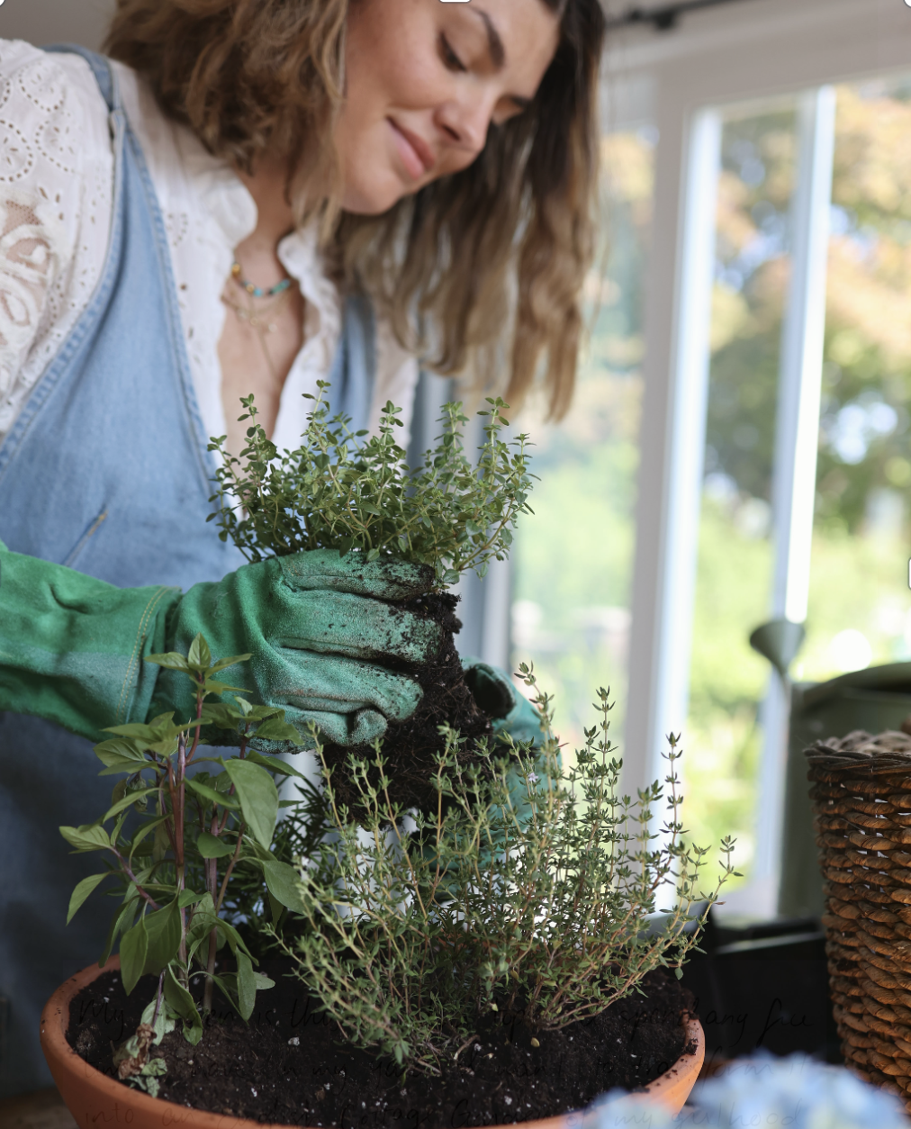clare sullivan gardening